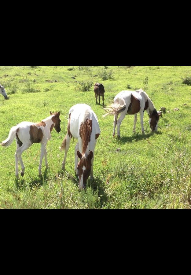 H&R Ranch Resort And Spa Estelí Esterno foto